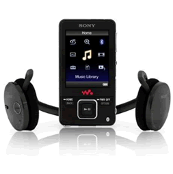 Sony NWZA829KB 16GB Video Walkman