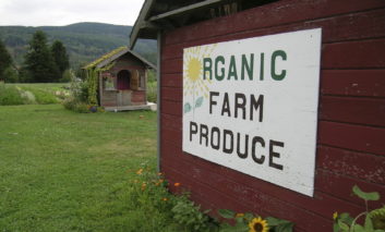 Organic Food